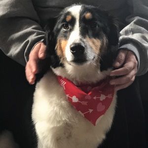 Meet your Posher, Jacob